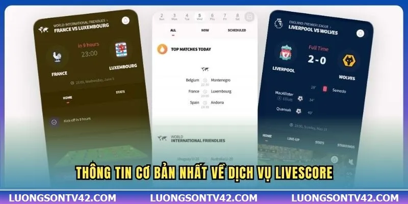 Thông tin cơ bản nhất về dịch vụ Livescore